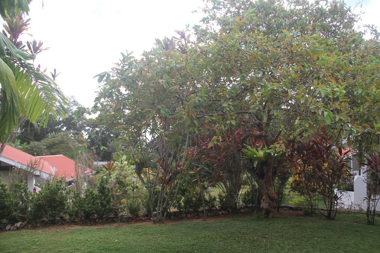 Daniella'S Bungalows Bel Ombre Dış mekan fotoğraf