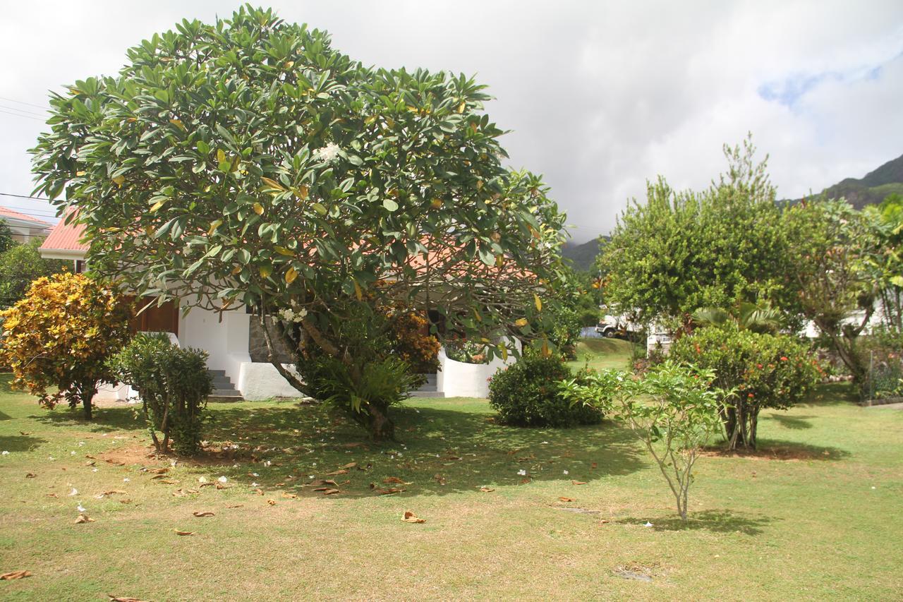 Daniella'S Bungalows Bel Ombre Dış mekan fotoğraf