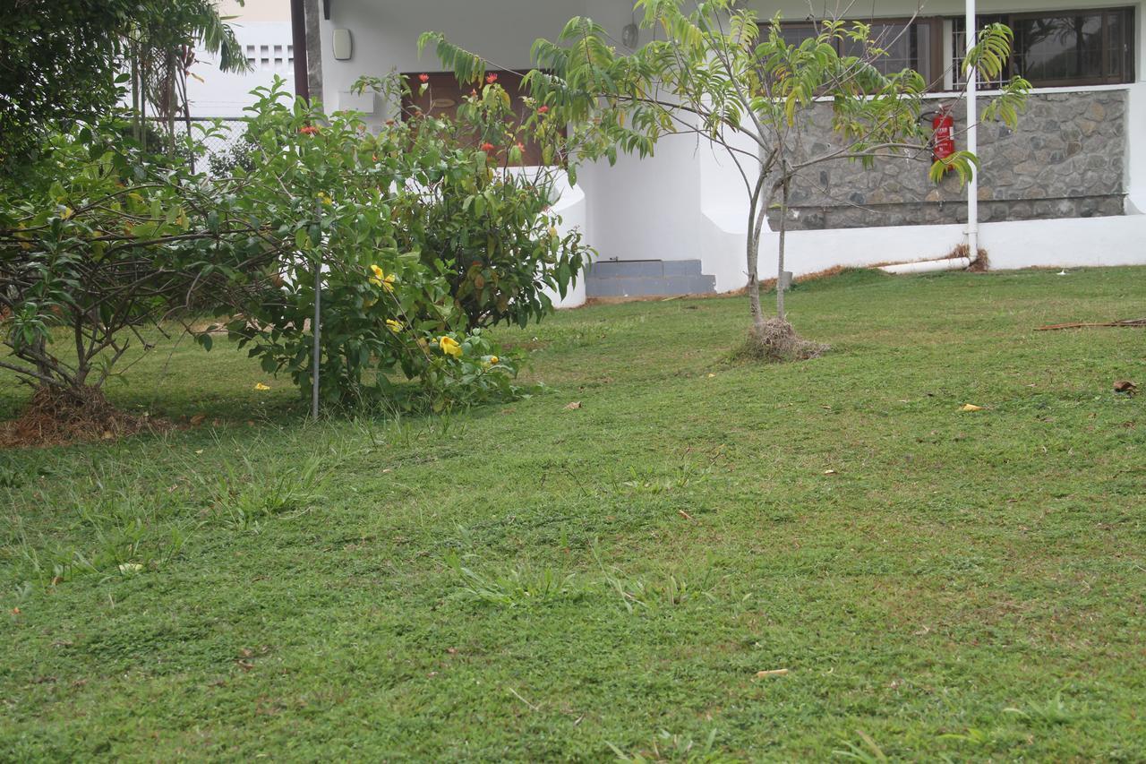 Daniella'S Bungalows Bel Ombre Dış mekan fotoğraf