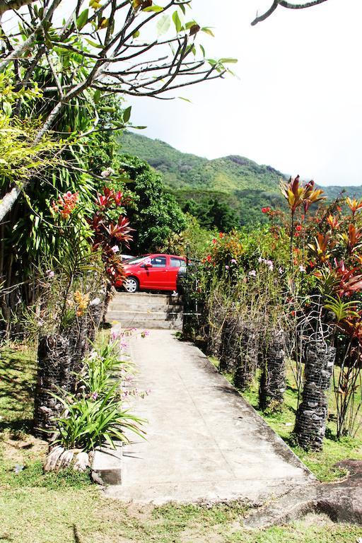 Daniella'S Bungalows Bel Ombre Dış mekan fotoğraf