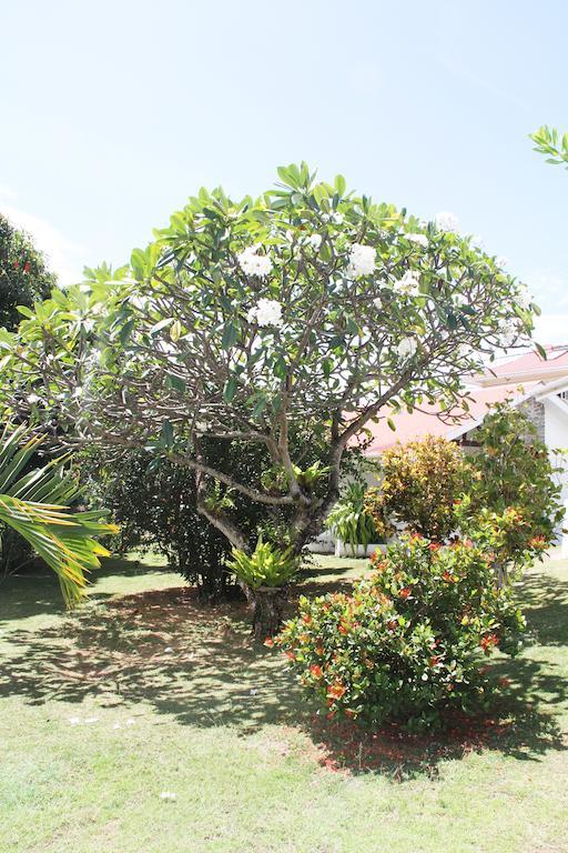 Daniella'S Bungalows Bel Ombre Dış mekan fotoğraf